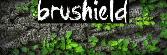 brushield Example 3