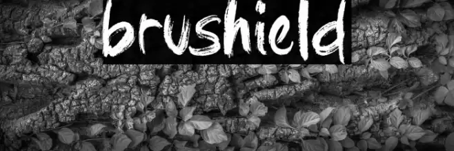 brushield Font examples