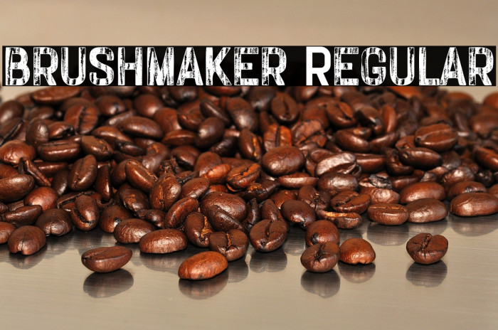 brushmaker Regular Example 3