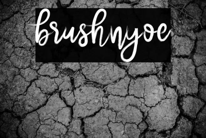 brushnyoe Font examples