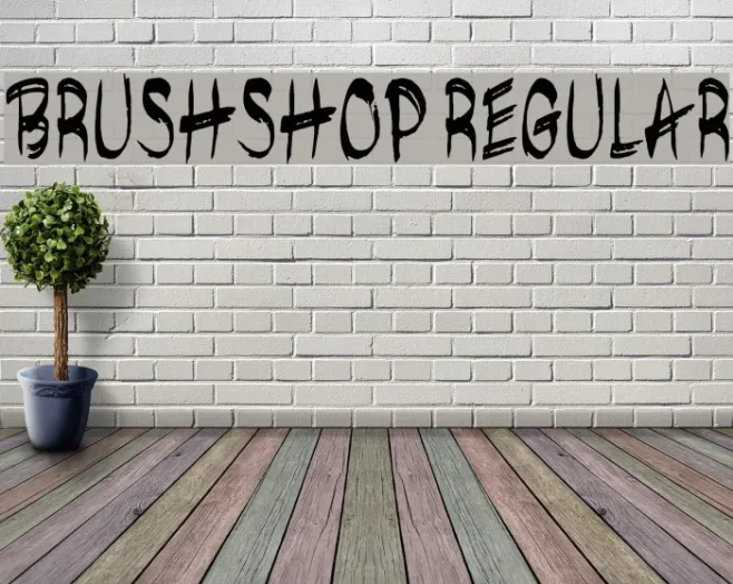 brushshop regular Example 2