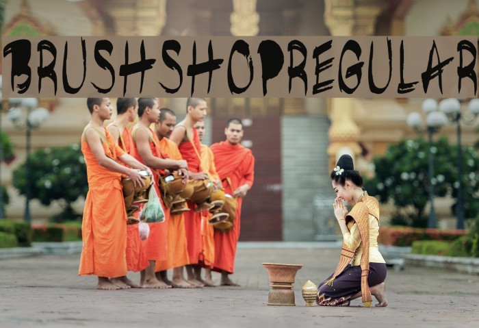 brushshopregular Font examples