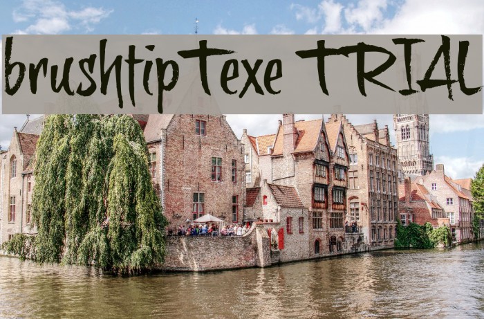 brushtipTexe TRIAL Example 1