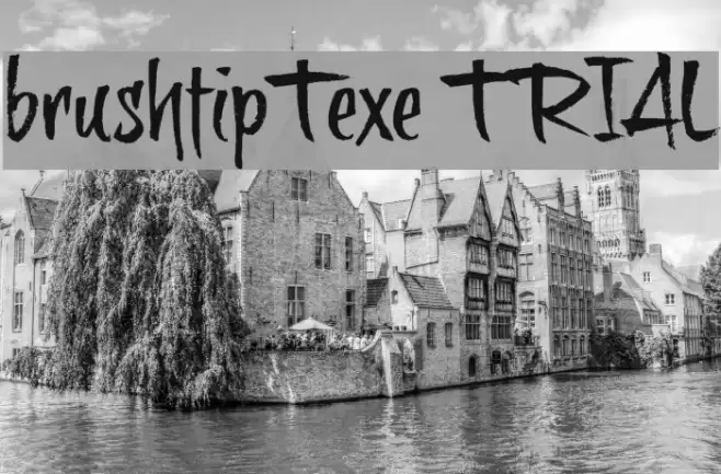 brushtipTexe TRIAL Font examples