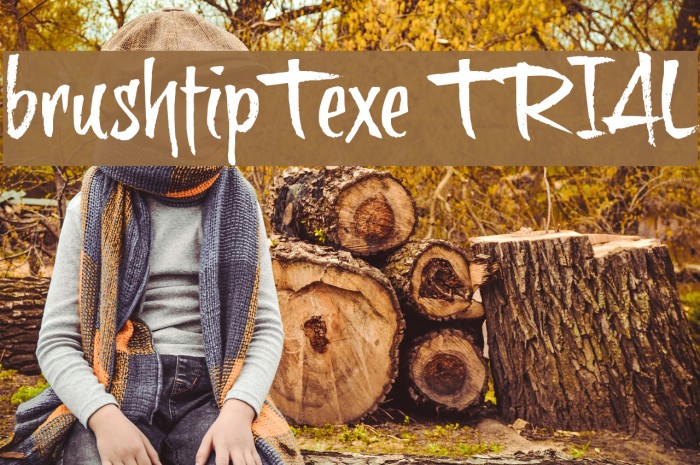 brushtipTexe TRIAL Example 2