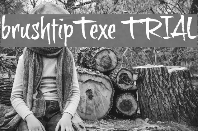 brushtipTexe TRIAL Font examples