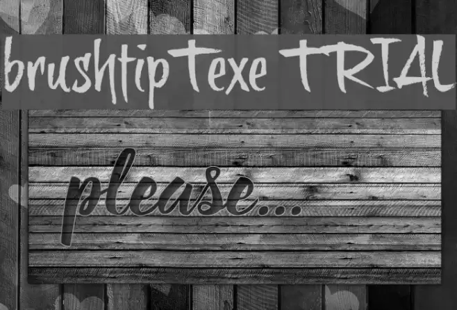 brushtipTexe TRIAL Font examples