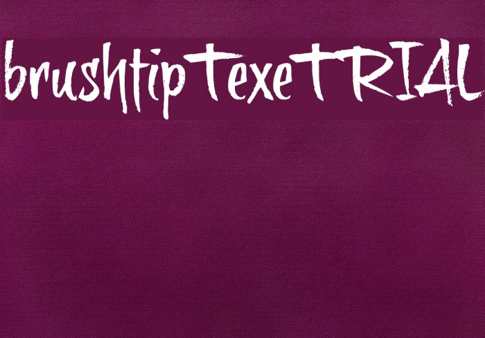 brushtipTexeTRIAL Example 2