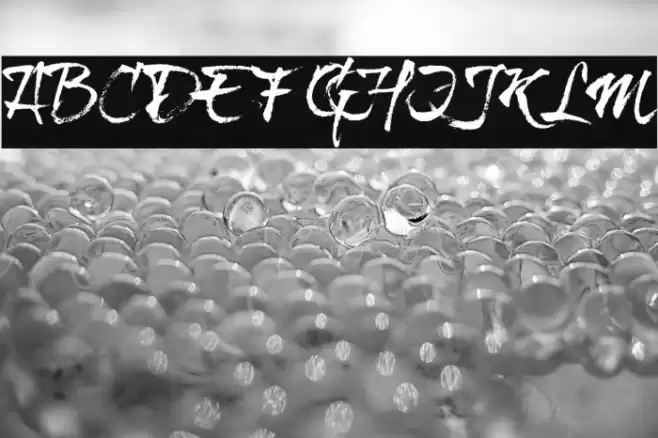 brushtipTravis Font examples