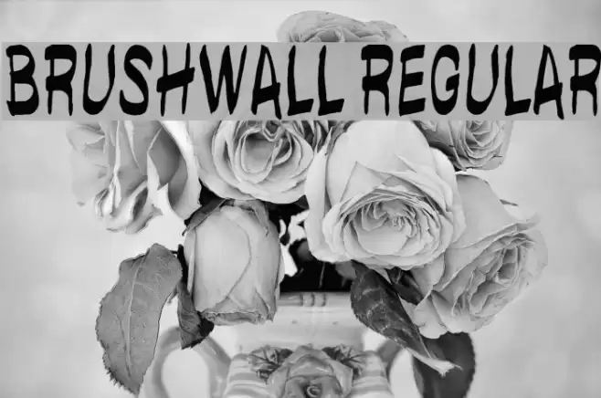 brushwall regular Font examples