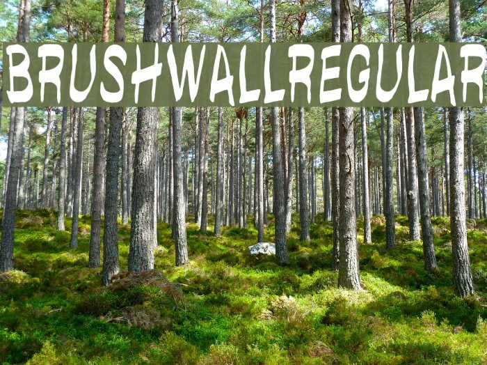 brushwallregular Example 2