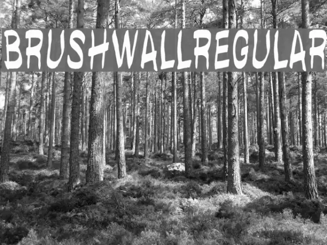brushwallregular Font examples