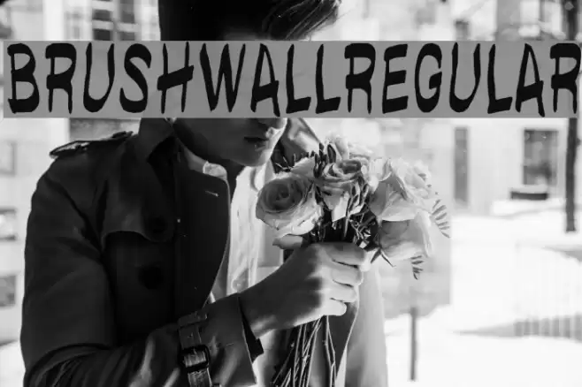 brushwallregular Font examples