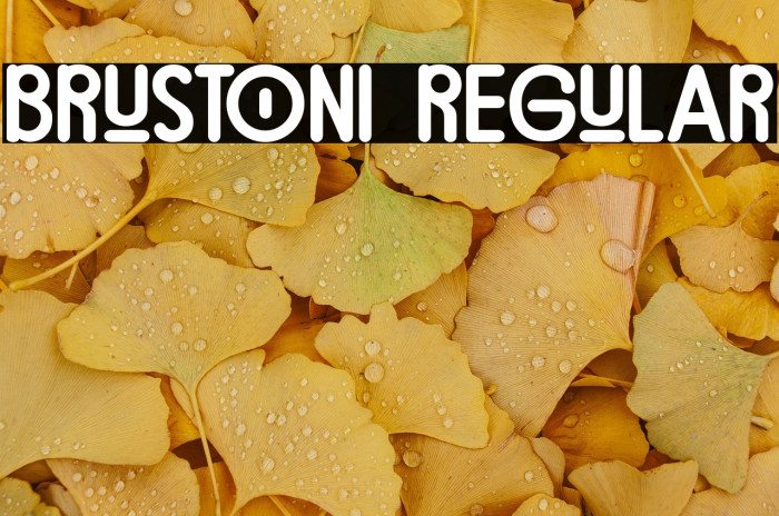 brustoni Regular Example 1