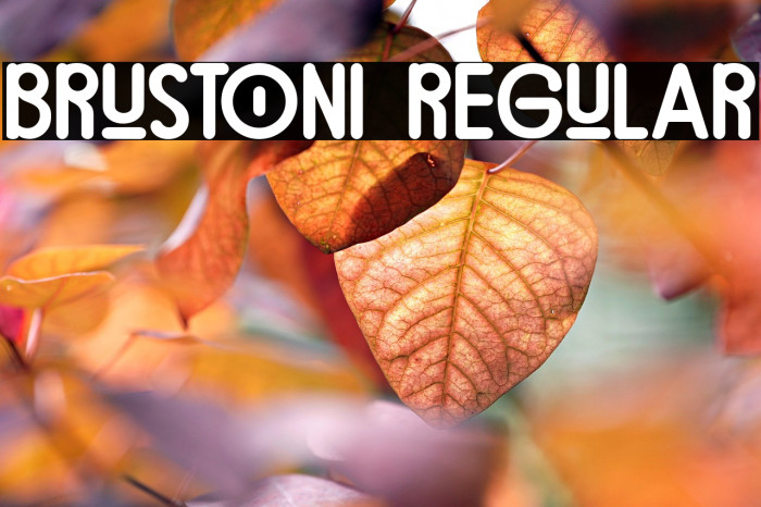 brustoni Regular Example 3