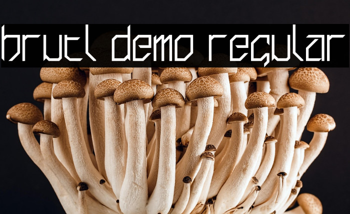 brutl demo Regular Example 1