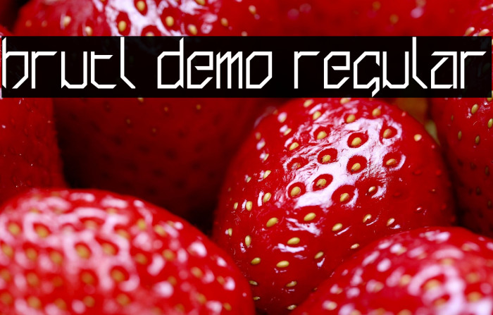 brutl demo Regular Example 2