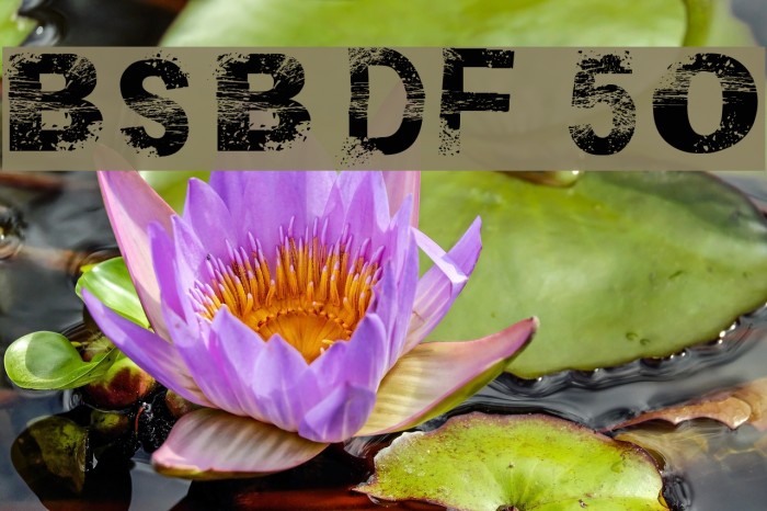 BSB DF 50 Font examples