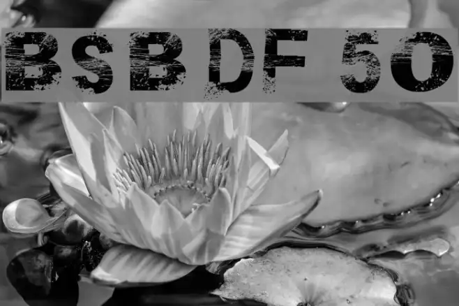 BSB DF 50 Example 1