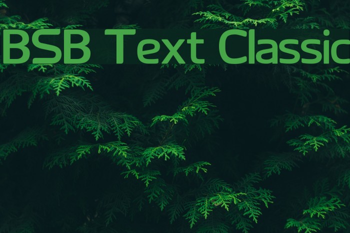 BSB Text Classic Font examples