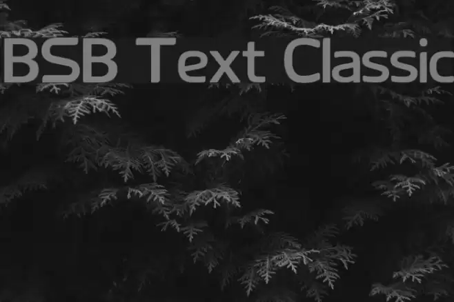 BSB Text Classic Font examples
