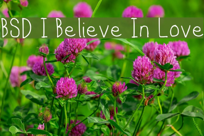 BSD I Believe In Love Font examples