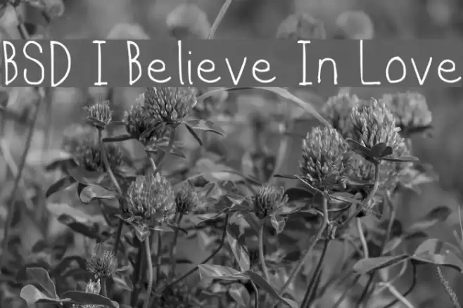 BSD I Believe In Love Font examples