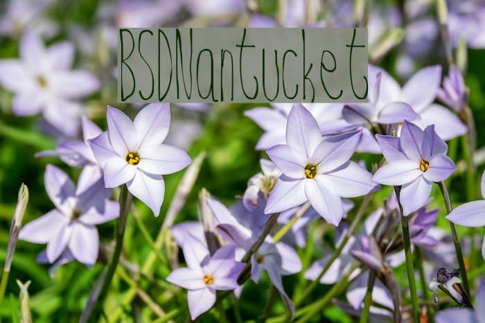 BSD Nantucket Font examples