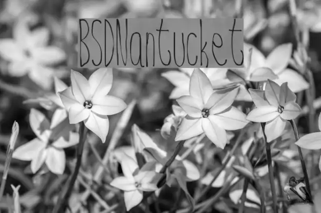 BSD  Nantucket Example 2