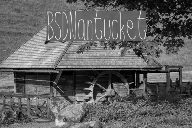 BSD  Nantucket Example 3