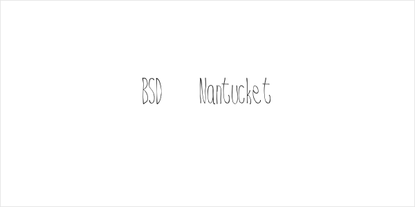 BSD  Nantucket Logo