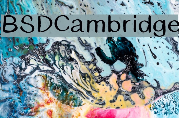 BSDCambridge Example 2