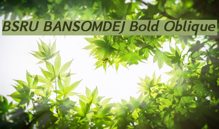 BSRU BANSOMDEJ Bold Oblique Example 1