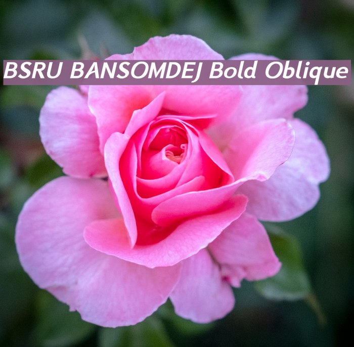 BSRU BANSOMDEJ Bold Oblique Example 2