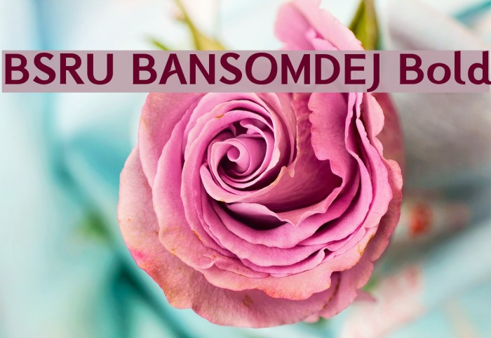 BSRU BANSOMDEJ Bold Example 2