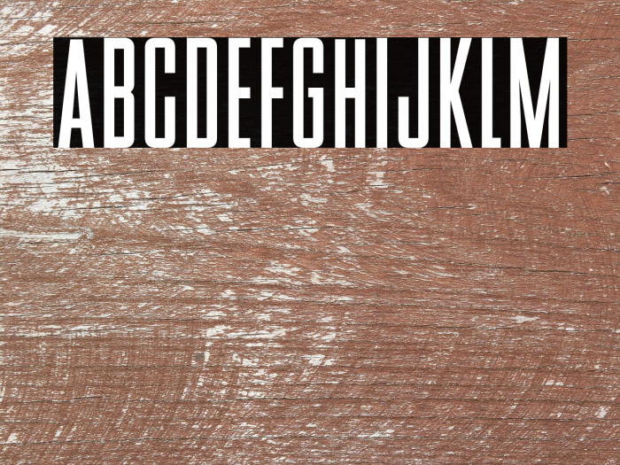 BStyle-Bold Example 1