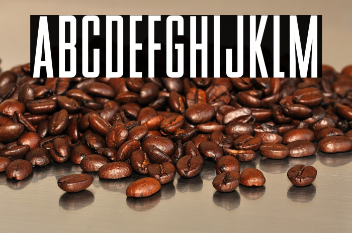 BStyle-Bold Example 2