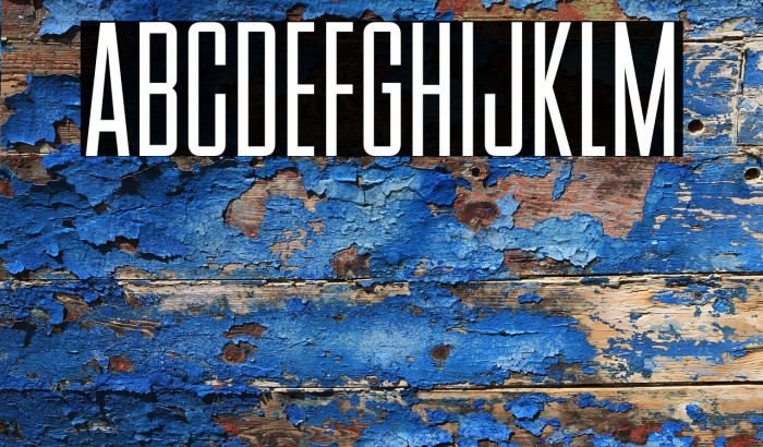 BStyle-Regular Example 3