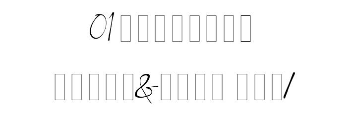 Bs Signature Demo Font OTHER CHARS