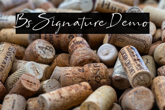 Bs Signature Demo Example 1