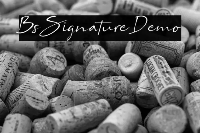 Bs Signature Demo Example 1