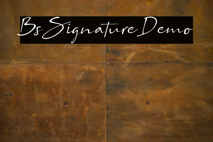 Bs Signature Demo Example 2
