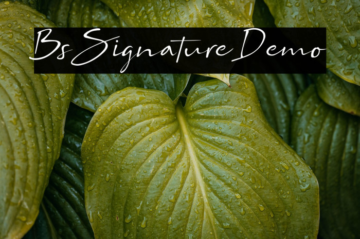 Bs Signature Demo Example 3