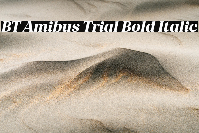 BT Amibus Trial Bold Italic Example 2