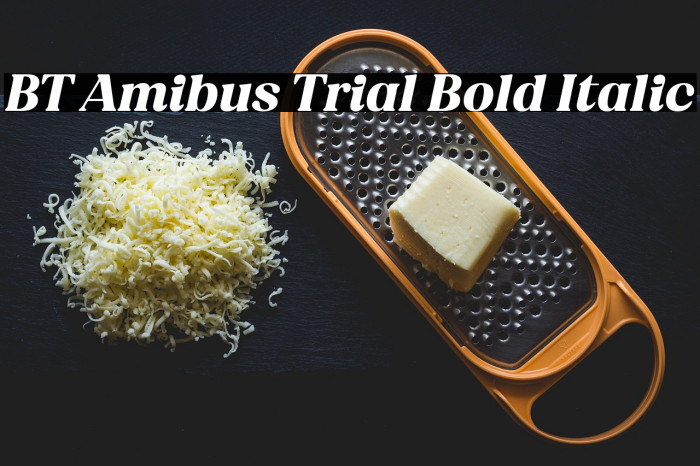 BT Amibus Trial Bold Italic Example 3