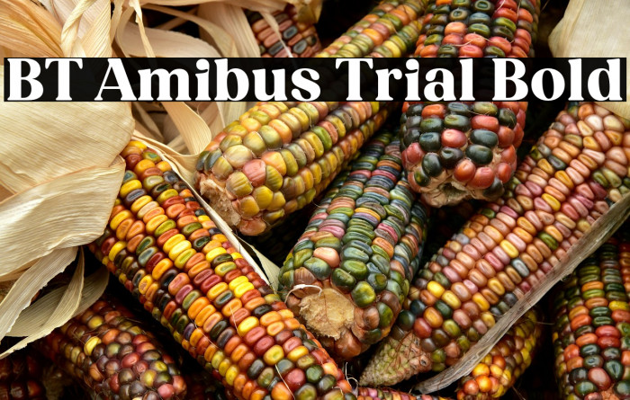 BT Amibus Trial Bold Example 1