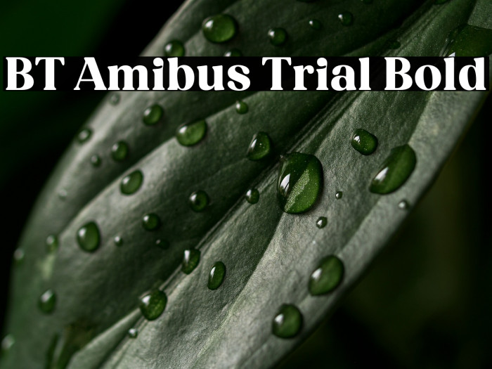 BT Amibus Trial Bold Example 2
