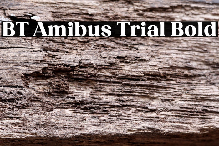 BT Amibus Trial Bold Example 3