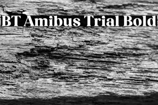 BT Amibus Trial Bold Font examples