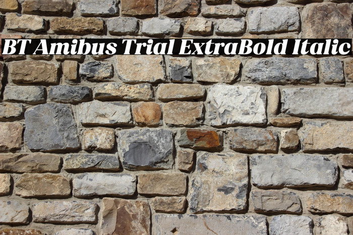 BT Amibus Trial ExtraBold Italic Example 2